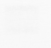 Ковролин Sommer Needlepunch Exposhow Exposhow White 9510 фото 1 | FLOORDEALER